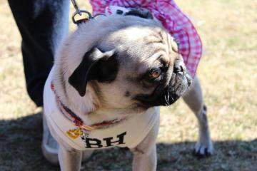 IMG_1206_convert_20130115232650.jpg