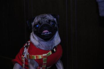 IMG_4326_convert_20120723223610.jpg