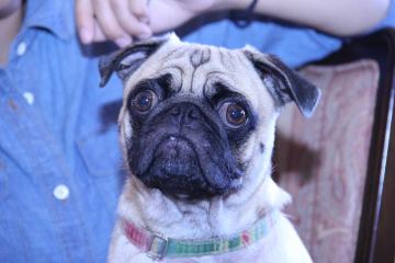 IMG_4349_convert_20120723223440.jpg