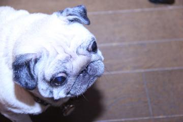 IMG_4353_convert_20120723223758.jpg