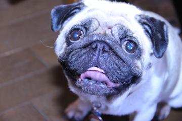 IMG_4357_convert_20120723223851.jpg
