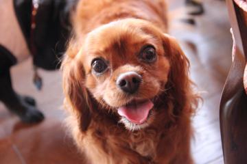 IMG_4358_convert_20120723223939.jpg