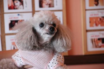 IMG_4373_convert_20120723224329.jpg