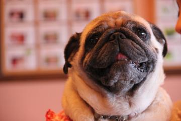IMG_4387_convert_20120723224637.jpg