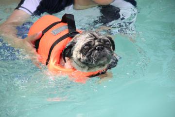 IMG_4421_convert_20120731233606.jpg