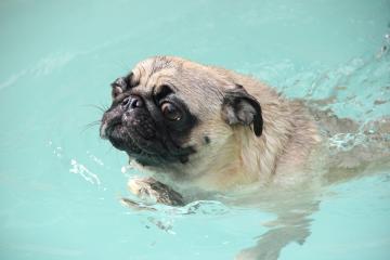 IMG_4438_convert_20120731233834.jpg