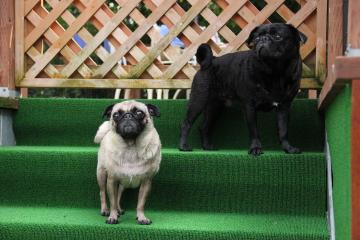 IMG_4512_convert_20120731233937.jpg