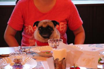 IMG_4513_convert_20120805231048.jpg