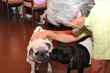 IMG_4549_convert_20120805231204.jpg