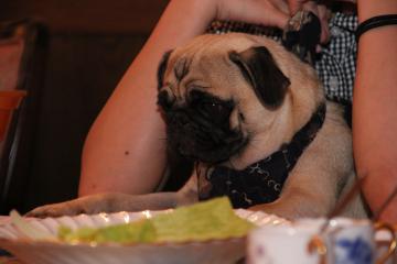 IMG_4558_convert_20120805231538.jpg