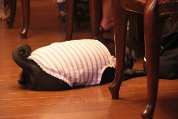 IMG_4561_convert_20120805231810.jpg