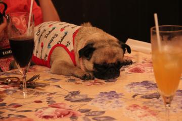 IMG_4572_convert_20120805232309.jpg