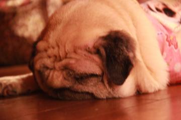 IMG_4586_convert_20120805232501.jpg