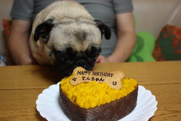IMG_6393_20120704141629.jpg
