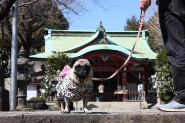 IMG_9441_convert_20120506221706.jpg