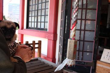 IMG_9444_convert_20120506221832.jpg