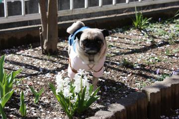 IMG_9457_convert_20120506221913.jpg