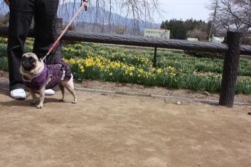 IMG_9535_convert_20120506222037.jpg