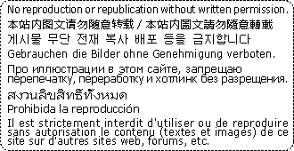 kinshibanner-top.gif
