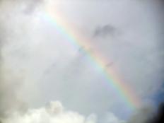 DSCF9064.jpg
