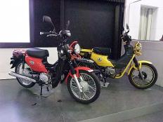 DSCF9151.jpg
