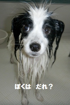 おふろ