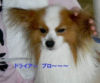 おふろ7