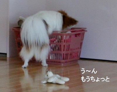 家遊び1