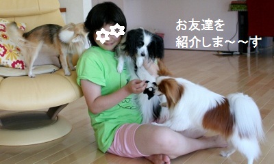 家