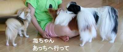 家3