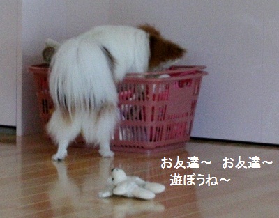 家2