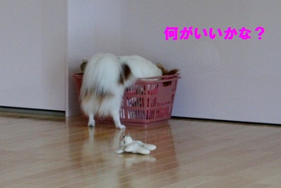 家遊び