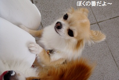 あいす2