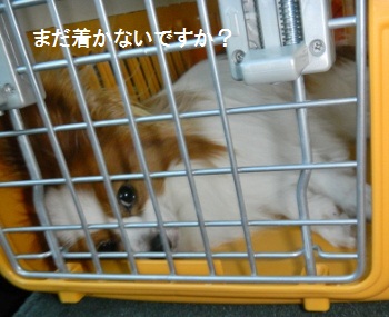 旅