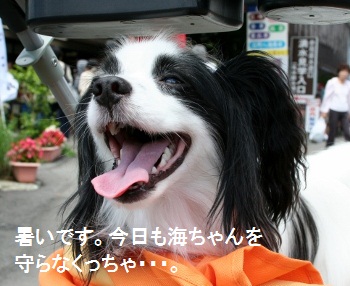 たび7