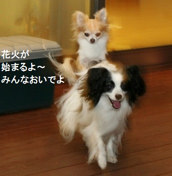 はなび