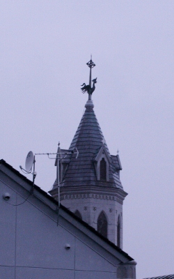 IMG_0374 (250x400)