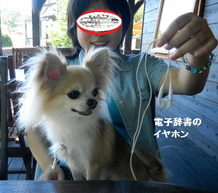 ちび3