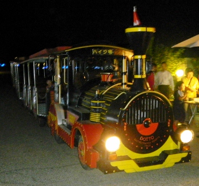 DSCN3075 (400x374)