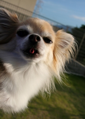 IMG_0063 (286x400)