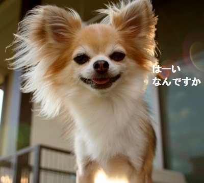 ほし