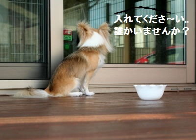 ほし2