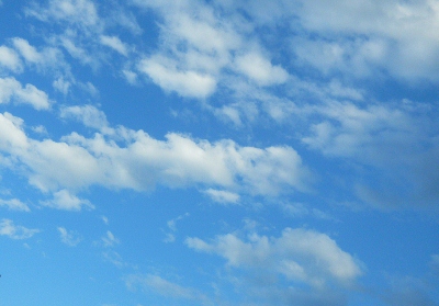 DSCN2875 (400x279)