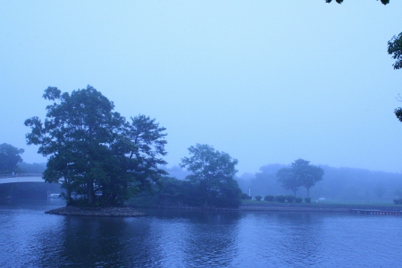 IMG_0230 (450x300)