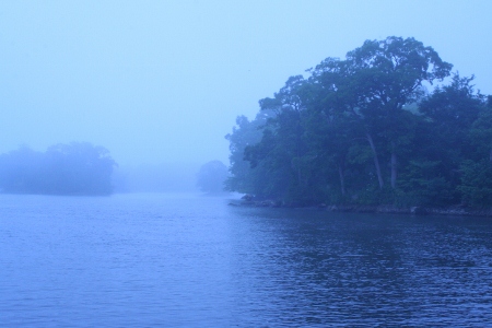 IMG_0228 (450x300)