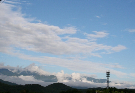 IMG_0051 (450x310)