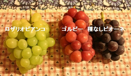 ぶどう