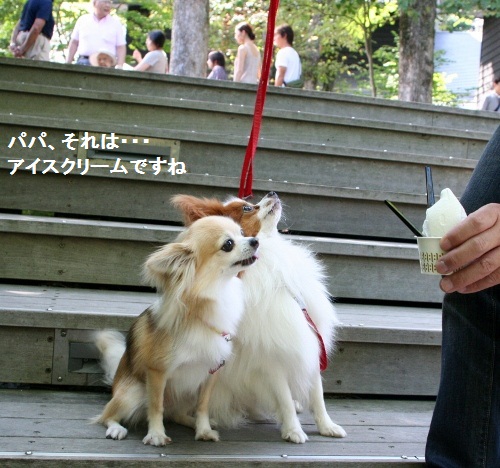 あいす