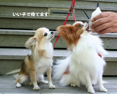 いいこ2