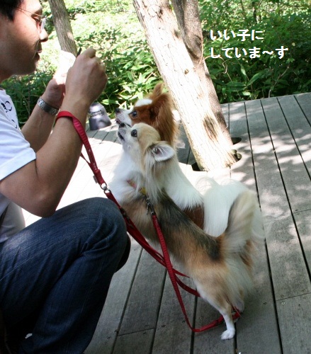 いいこ